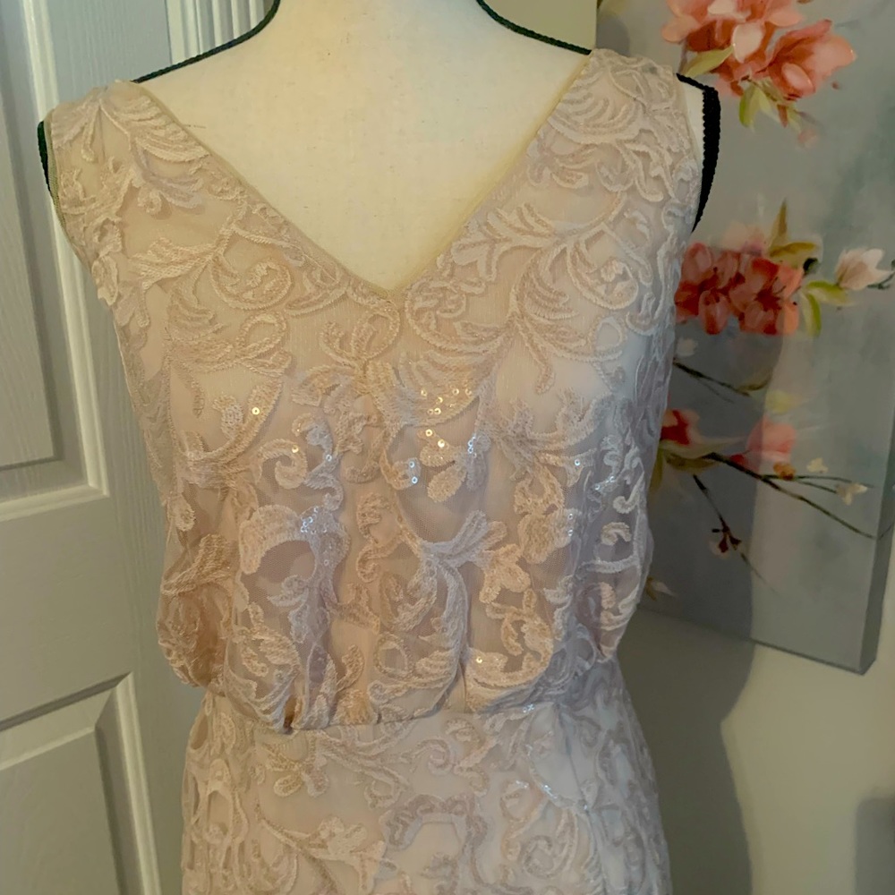 Floor Length Gown, Worn Once, Flawless, Size 10 F… - image 1